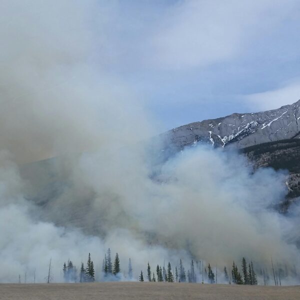 How To Protect Yourself From Wildfire Smoke