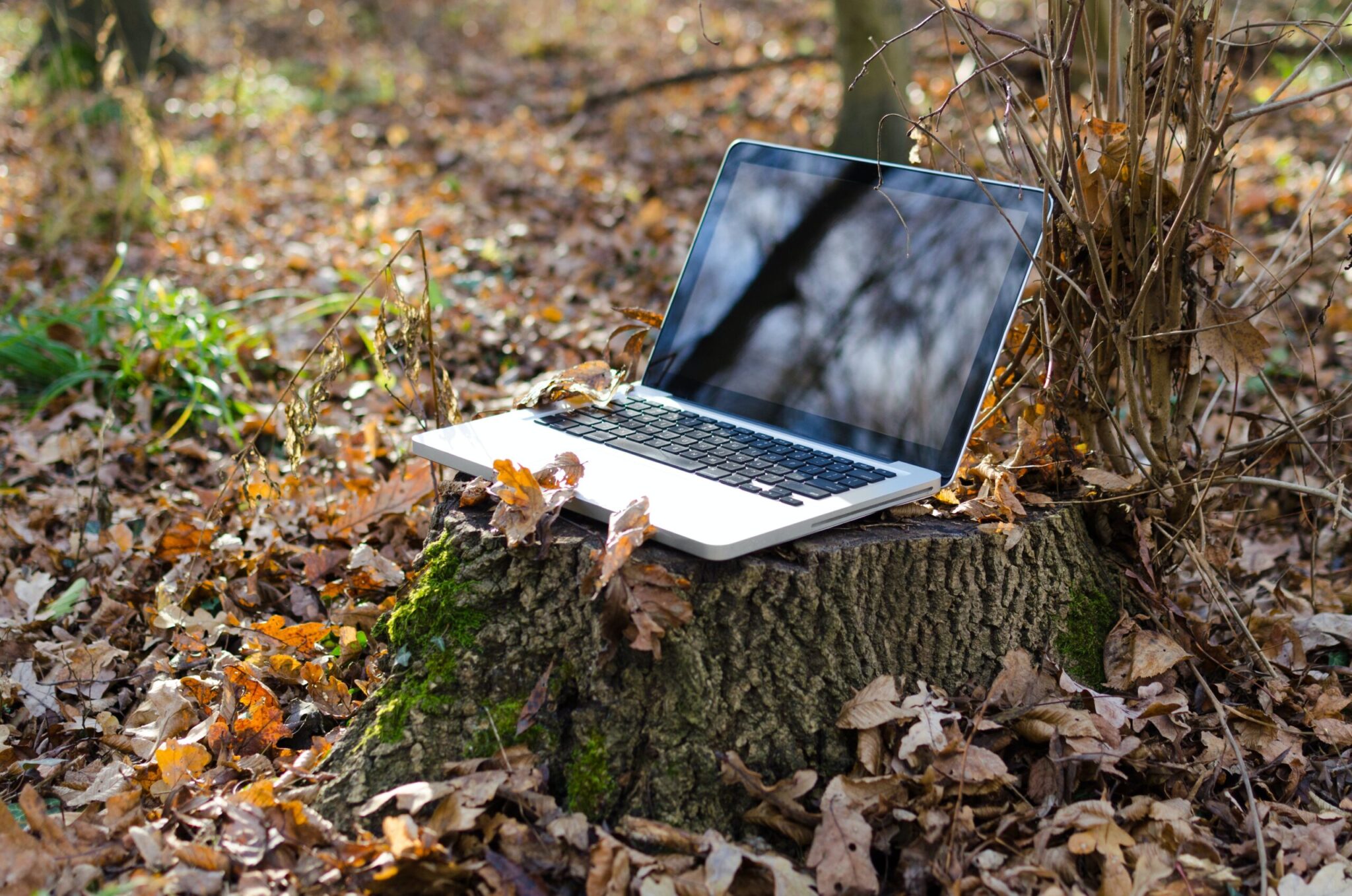 4 Steps To Complete Before Thanksgiving Break